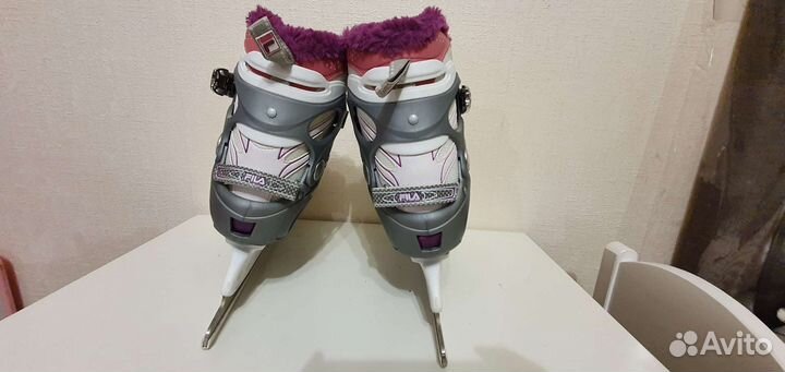 Женские коньки Fila primo ice lady