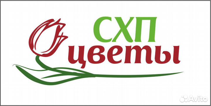 Разнорабочий (ежедневные выплаты)