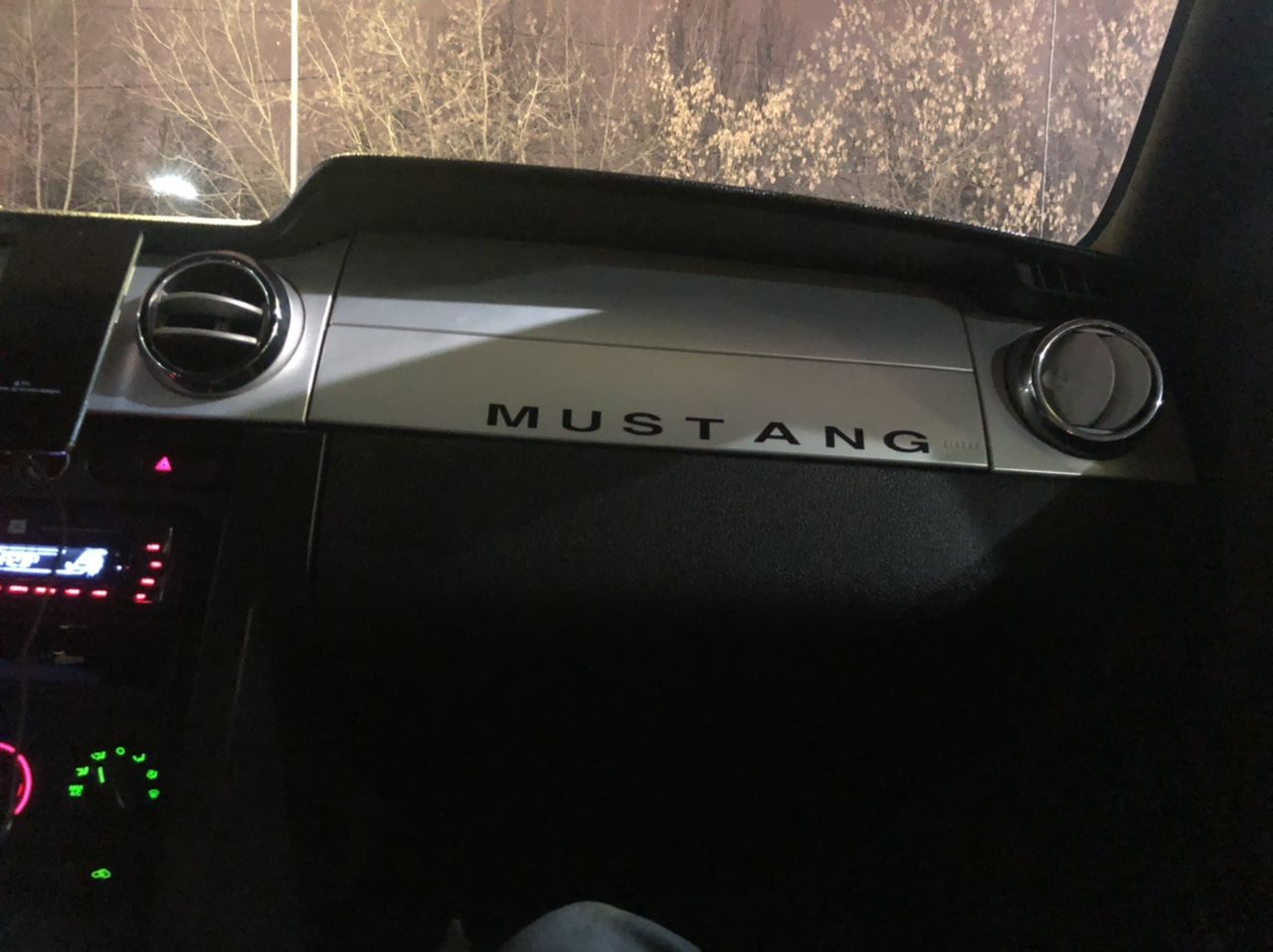 Ford Mustang: фото владельца