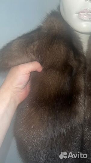 Соболь седой 