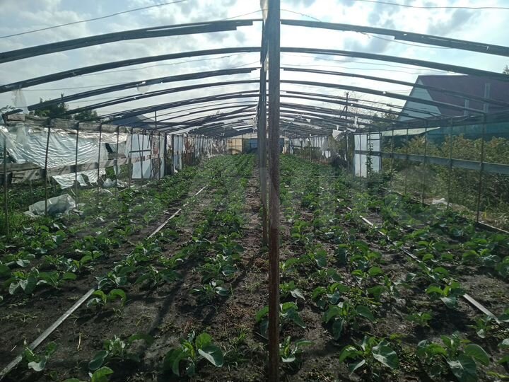 Участок 9 сот. (ИЖС)