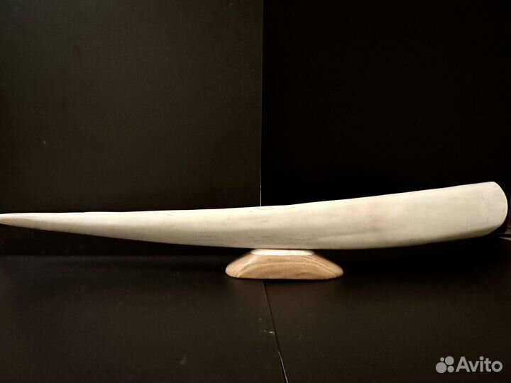 Клык моржа (имитация) Чукотка