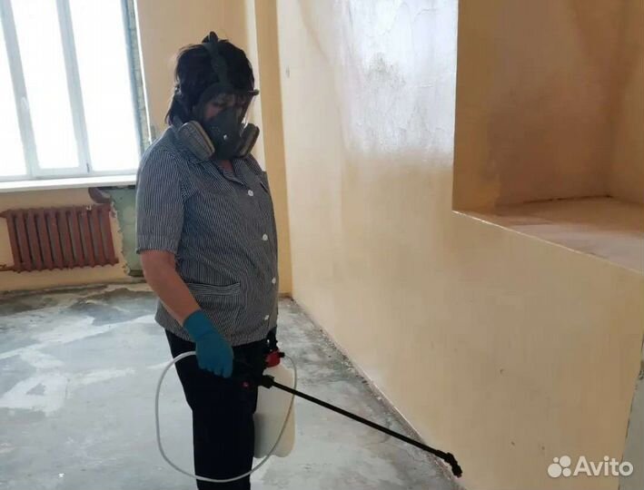 Уничтожение тараканов, клопов