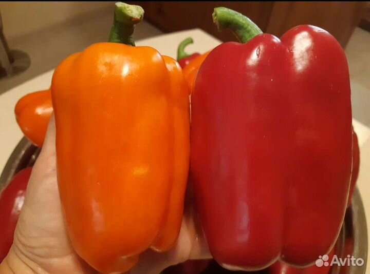 Семена сладкого и острого перца