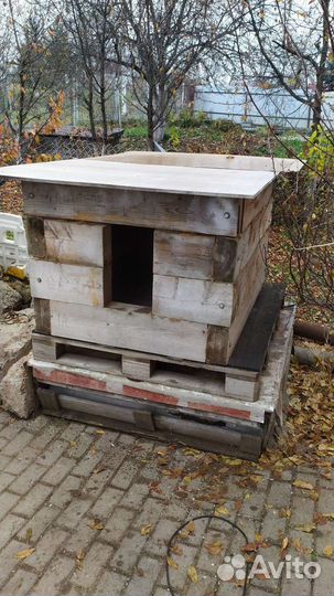 Собачья будка бу