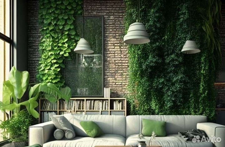 Вертикальное озеленение