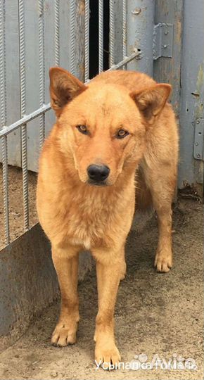 Красивый и добрый мальчик