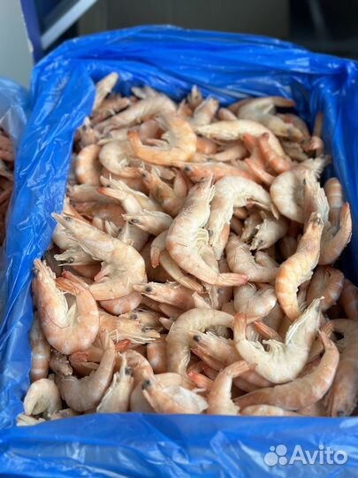 Лангустины