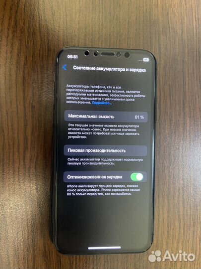 iPhone X, 256 ГБ