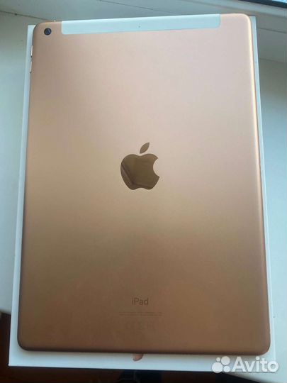 iPad