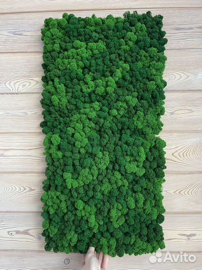 Панно из стабилизированного мха