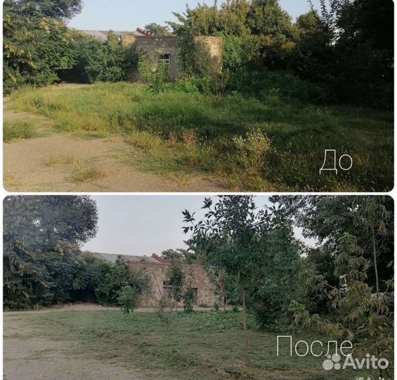 Покос травы/чистка участников