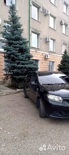 Renault Logan 1.6 МТ, 2015, битый, 250 000 км