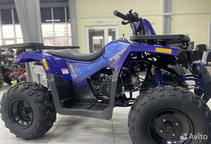 Квадроцикл promax wild 300