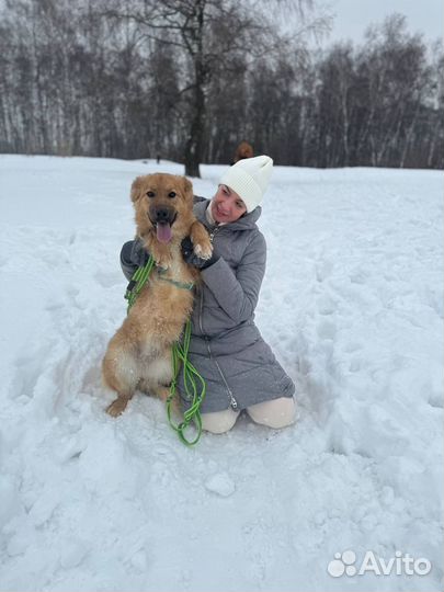 Вот такое милое облачко живет в приюте и ждет