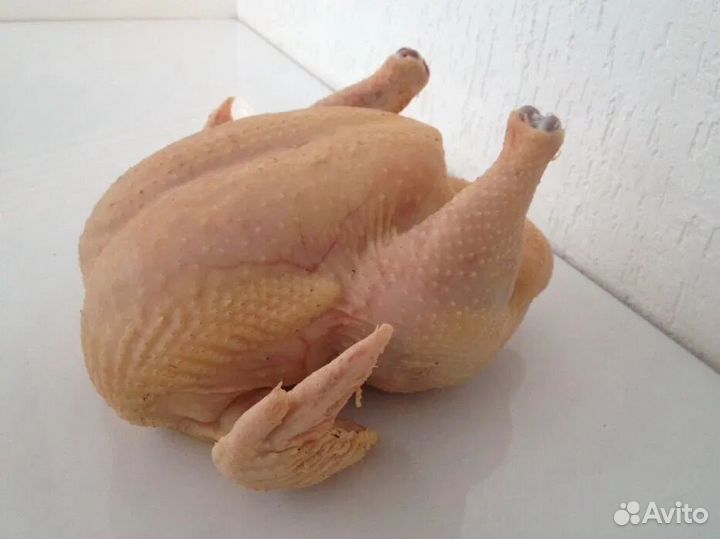Мясо домашнего бройлера