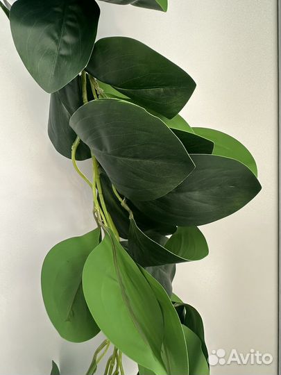 Лиана искусственная(силикон)