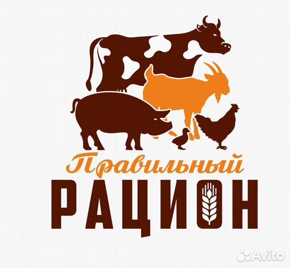 Старший смены производства комбикормов