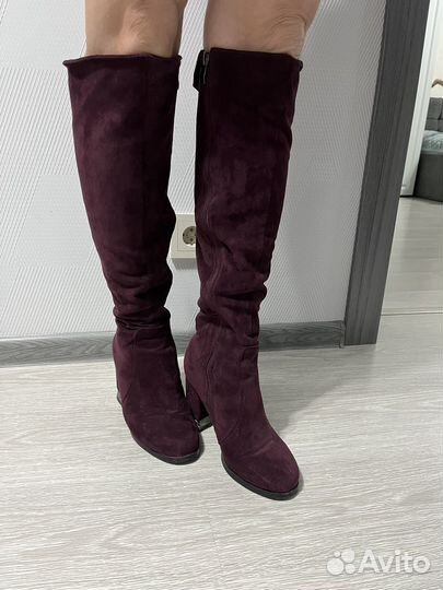 Сапоги женские замшевые