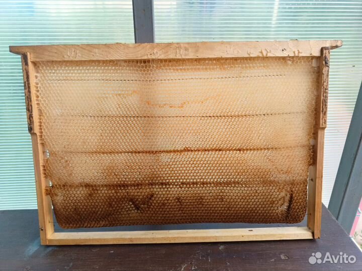 Рамки с сушью для ульев