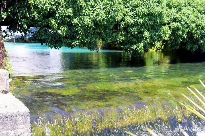 Групповые туры по Абхазии