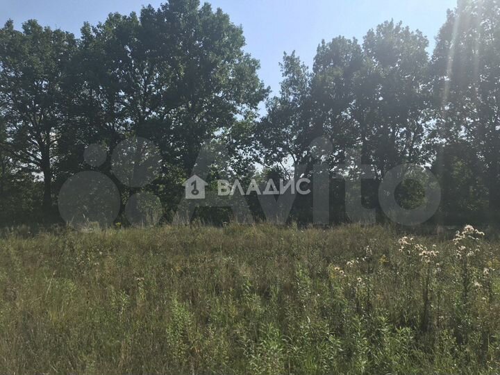 Участок 11 сот. (СНТ, ДНП)