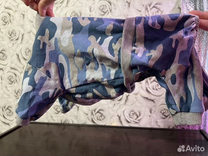 Одежда для собак