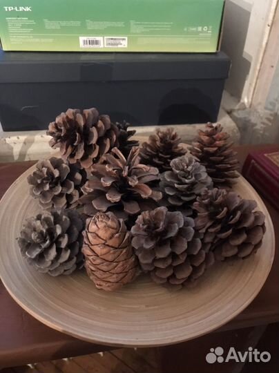 Шишки для декора