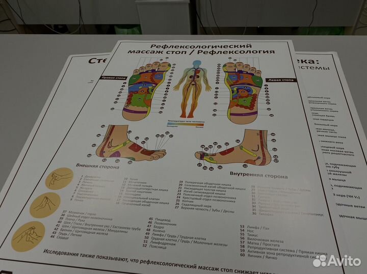 Плакат «Рефлексология» А1