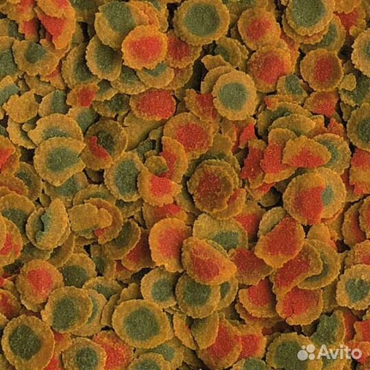 Миролюбивые аквариумные рыбки, водоросли, корма