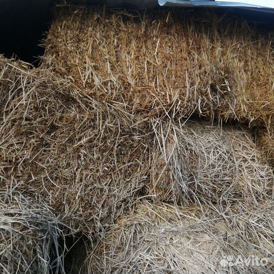 Сено в квадратных тюках