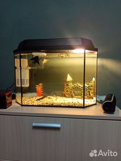 Аквариум на 50 литров