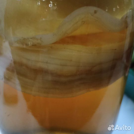 Чайный гриб