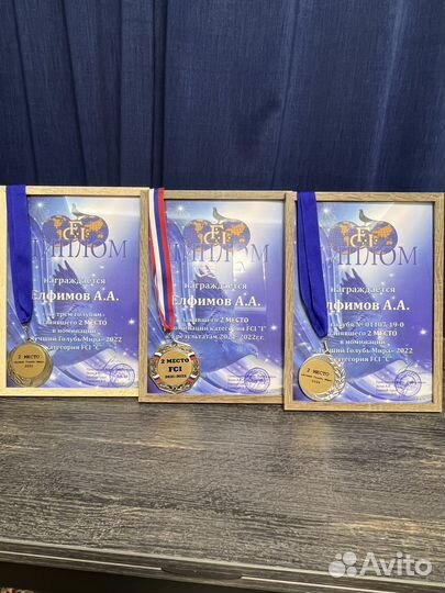 Продажа голубей от знаменитых заводчиков