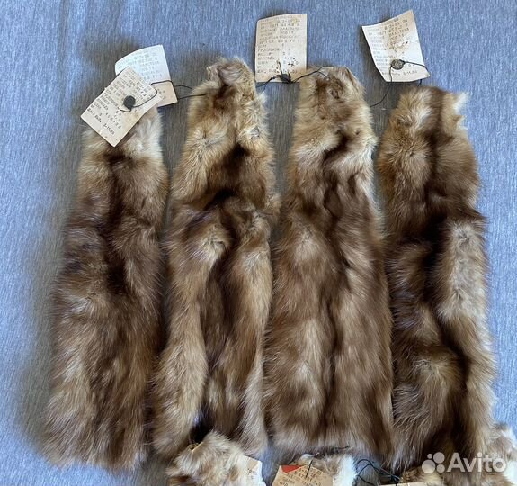 Шкурки соболя