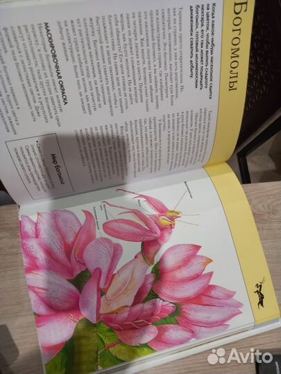 Насекомые. Полная энциклопедия