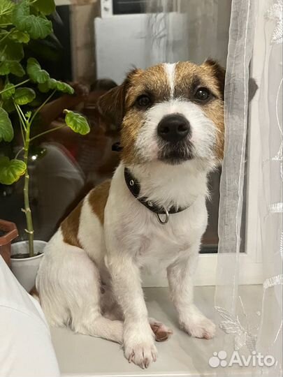 Ищем подружку