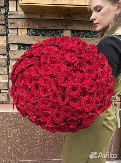 101 красная роза