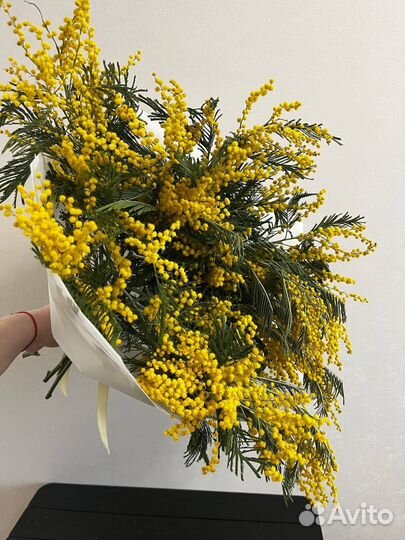 Мимоза букет