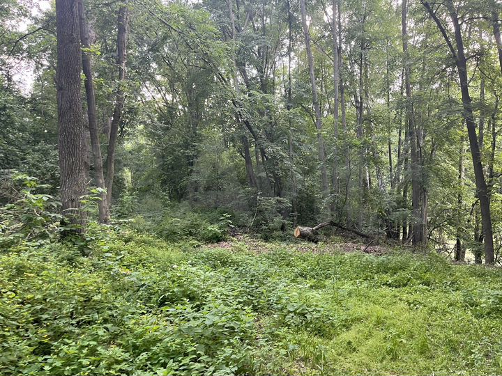 Свободного назначения, 112 м²