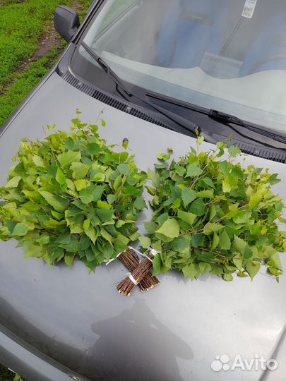 Веники для бани береза, дуб, липа