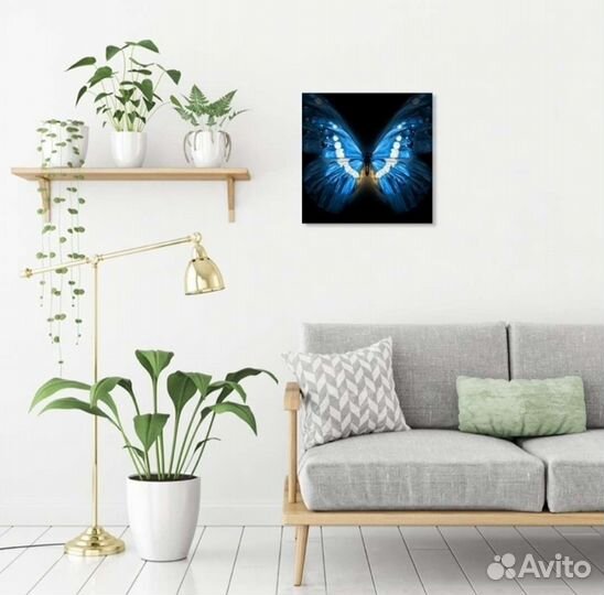 Бабочка картина