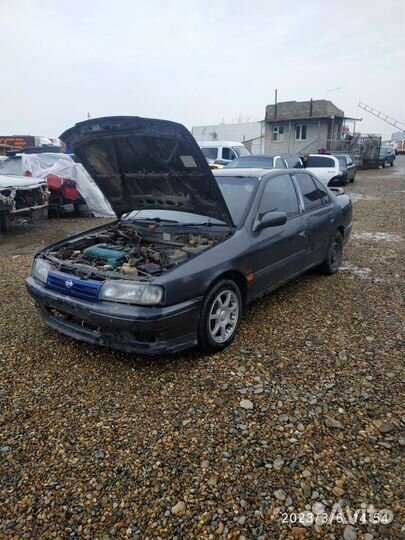 Разбор Nissan primera p10 Авторазбор