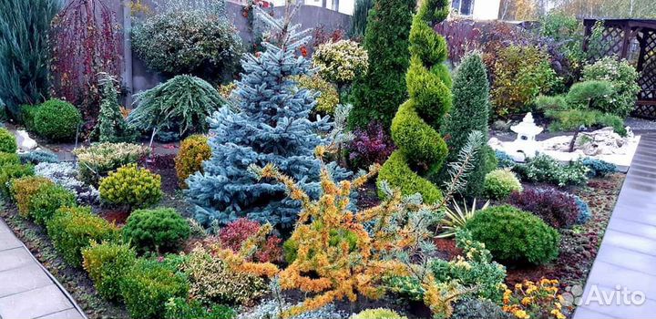 Ваш садовый участок в чистоте