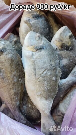 Рыбная продукция