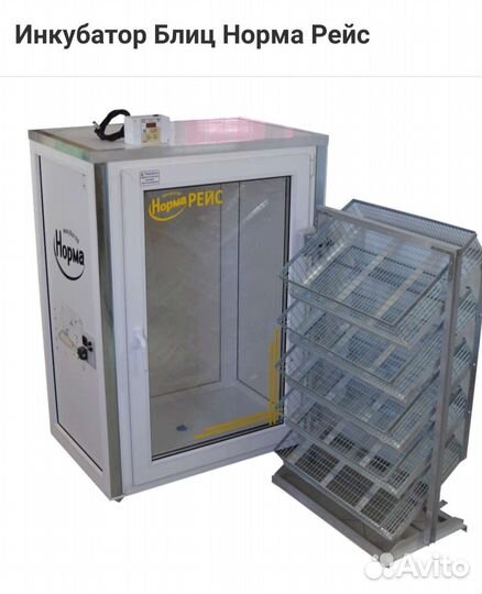 Инкубатор блиц норма рейс