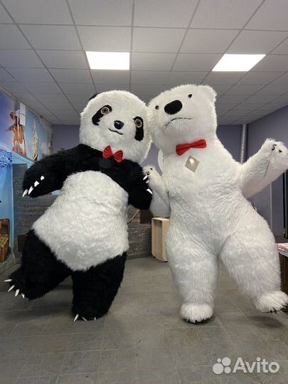 Белый мишка поздравление, Панда поздравление