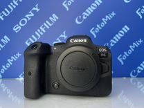 Canon r6 (4201)
