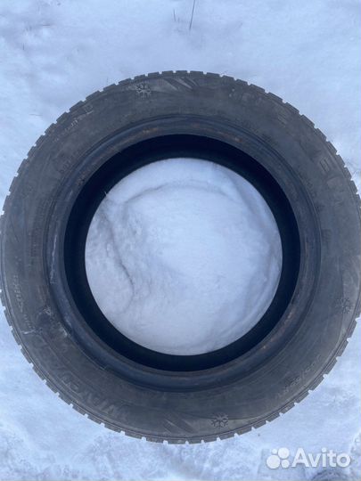 Nexen Winguard WinSpike 205/55 R16