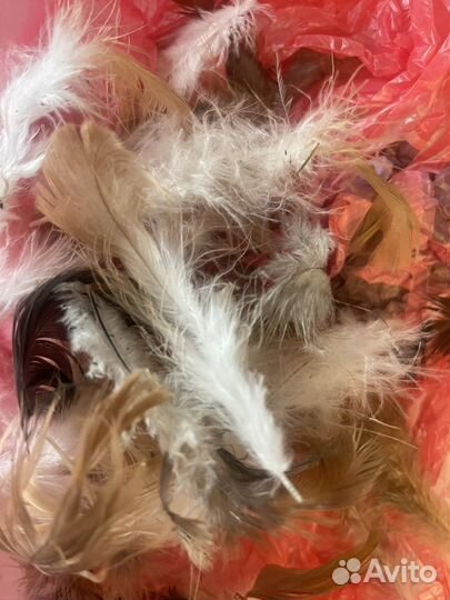 Цветные перья для ловцов снов творчества